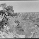 Illustration for article titled Grand Canyon